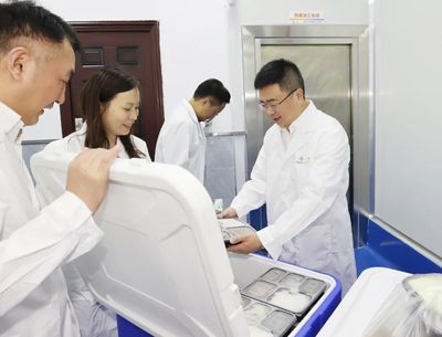 杨波率队赴重庆开展投资促进活动